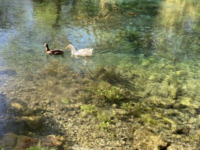 PONTECORVO AVRIL 2026 AVEC THIERRY BRIGITTE ET CLAUDE, IMG_7575