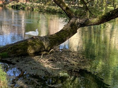 PONTECORVO AVRIL 2026 AVEC THIERRY BRIGITTE ET CLAUDE, IMG_7576