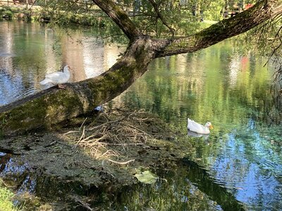 PONTECORVO AVRIL 2026 AVEC THIERRY BRIGITTE ET CLAUDE, IMG_7577