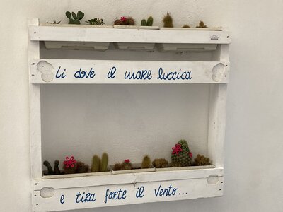 PONTECORVO AVRIL 2026 AVEC THIERRY BRIGITTE ET CLAUDE, IMG_7644