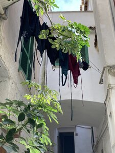 PONTECORVO AVRIL 2026 AVEC THIERRY BRIGITTE ET CLAUDE, IMG_7648