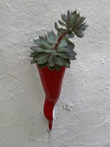 PONTECORVO AVRIL 2026 AVEC THIERRY BRIGITTE ET CLAUDE, IMG_7651