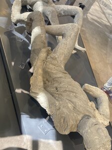 PONTECORVO AVRIL 2026 AVEC THIERRY BRIGITTE ET CLAUDE, IMG_7676