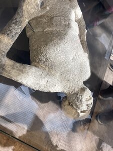 PONTECORVO AVRIL 2026 AVEC THIERRY BRIGITTE ET CLAUDE, IMG_7678