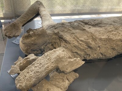 PONTECORVO AVRIL 2026 AVEC THIERRY BRIGITTE ET CLAUDE, IMG_7679