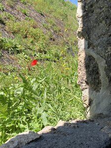 PONTECORVO AVRIL 2026 AVEC THIERRY BRIGITTE ET CLAUDE, IMG_7696