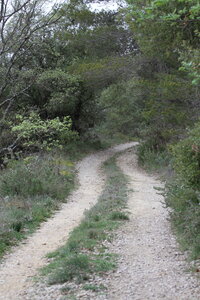 2026-04-12 ROCHE AMERE 2026, IMG_7146