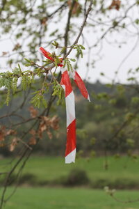 2026-04-12 ROCHE AMERE 2026, IMG_7179