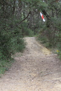 2026-04-12 ROCHE AMERE 2026, IMG_7421