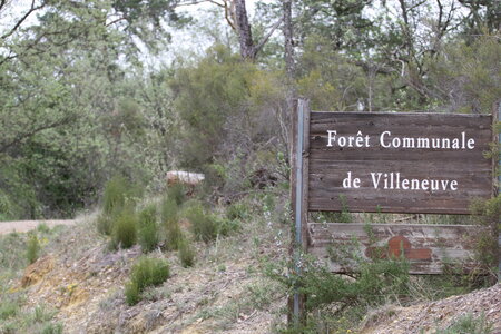 2026-04-12 ROCHE AMERE 2026, IMG_7423