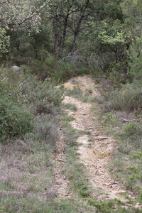 2026-04-12 ROCHE AMERE 2026, IMG_7424