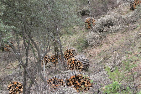 2026-04-12 ROCHE AMERE 2026, IMG_7428