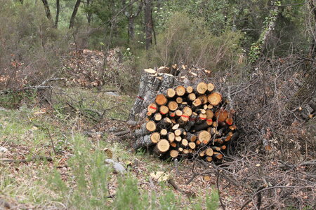 2026-04-12 ROCHE AMERE 2026, IMG_7582