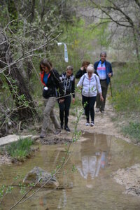 2026-04-12 ROCHE AMERE 2026, DSC_0119