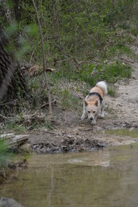 2026-04-12 ROCHE AMERE 2026, DSC_0130