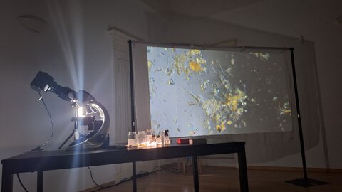 30 mars 2026, 20260330_165448