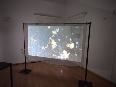 30 mars 2026, IMG_20260330_163230