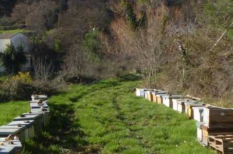 LaPlanchedEnvol, rucher2Blog