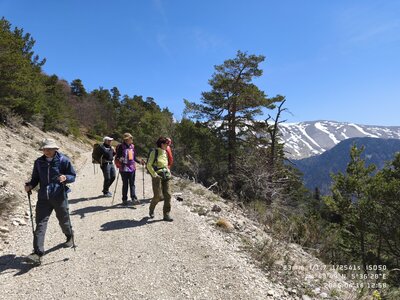 Sucettes de Borne, sucettes de Borne 20260416  1 