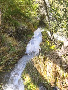 Sucettes de Borne, sucettes de Borne 20260416  8 