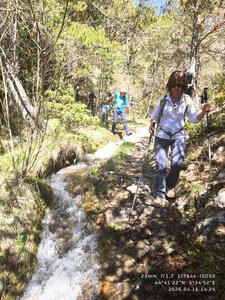 Sucettes de Borne, sucettes de Borne 20260416  11 