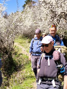 Sucettes de Borne, sucettes de Borne 20260416  15 