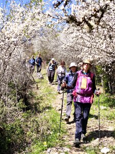 Sucettes de Borne, sucettes de Borne 20260416  17 