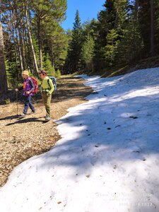 Sucettes de Borne, sucettes de Borne 20260416  18 