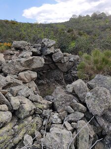 Orris Sournia-Trévillach, So.Orri_So_21