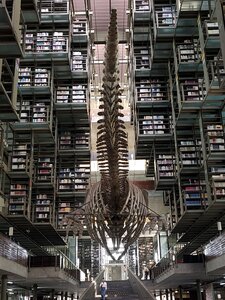 CDMX -  Mazatlan, IMG_20260303_131136988_m