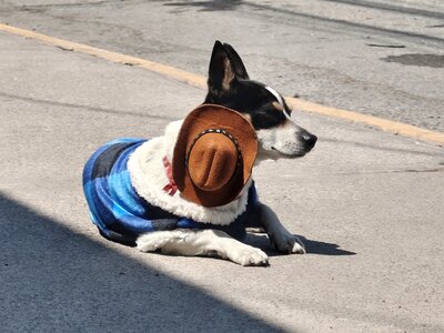 CDMX -  Mazatlan, IMG_20260304_122026188_m