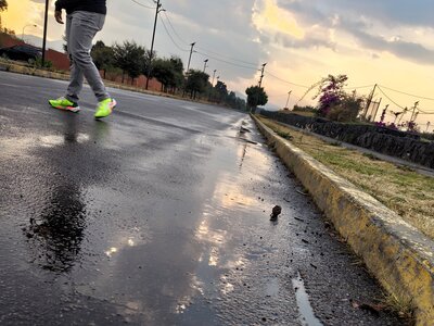 CDMX -  Mazatlan, IMG_20260306_175852778_m