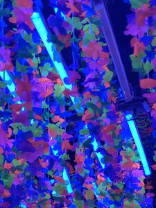 CDMX -  Mazatlan, IMG_20260308_204223861_m