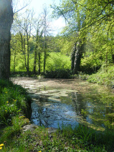 Moulins de Blanlhac et d'aval, Moulin-Ran-&eacute;cluse