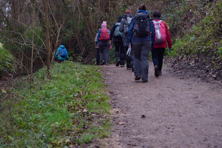 Rando 14-décembre-2025_Parc de Sceaux - Forêt de Verrière - Vallée de la Bièvre, DSC_0246