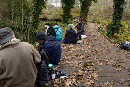 Rando 14-décembre-2025_Parc de Sceaux - Forêt de Verrière - Vallée de la Bièvre, DSC_0206