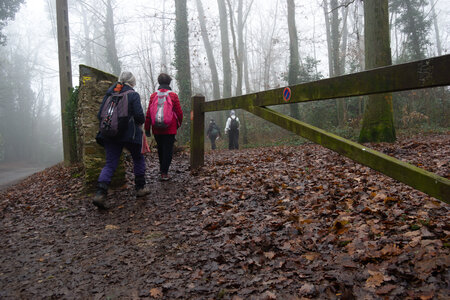 Rando 14-décembre-2025_Parc de Sceaux - Forêt de Verrière - Vallée de la Bièvre, DSC_0171