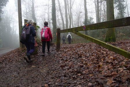 Rando 14-décembre-2025_Parc de Sceaux - Forêt de Verrière - Vallée de la Bièvre, DSC_0170