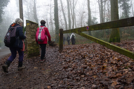 Rando 14-décembre-2025_Parc de Sceaux - Forêt de Verrière - Vallée de la Bièvre, DSC_0169