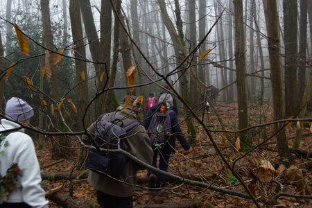 Rando 14-décembre-2025_Parc de Sceaux - Forêt de Verrière - Vallée de la Bièvre, DSC_0165