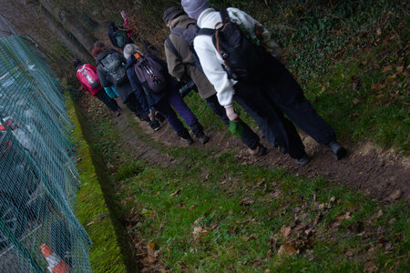 Rando 14-décembre-2025_Parc de Sceaux - Forêt de Verrière - Vallée de la Bièvre, DSC_0155