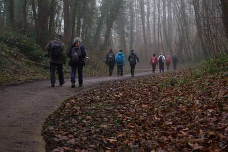 Rando 14-décembre-2025_Parc de Sceaux - Forêt de Verrière - Vallée de la Bièvre, DSC_0128