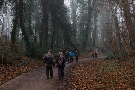 Rando 14-décembre-2025_Parc de Sceaux - Forêt de Verrière - Vallée de la Bièvre, DSC_0127