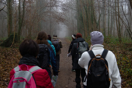 Rando 14-décembre-2025_Parc de Sceaux - Forêt de Verrière - Vallée de la Bièvre, DSC_0123