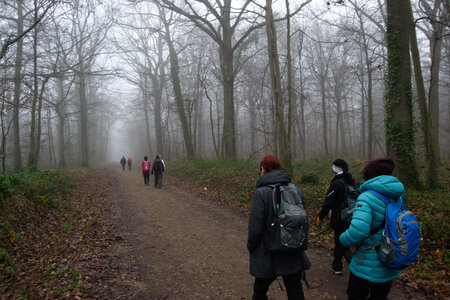 Rando 14-décembre-2025_Parc de Sceaux - Forêt de Verrière - Vallée de la Bièvre, DSC_0126