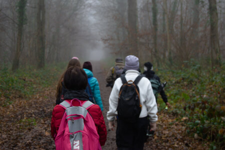 Rando 14-décembre-2025_Parc de Sceaux - Forêt de Verrière - Vallée de la Bièvre, DSC_0122