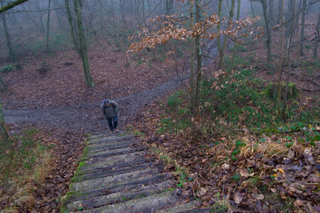 Rando 14-décembre-2025_Parc de Sceaux - Forêt de Verrière - Vallée de la Bièvre, DSC_0121