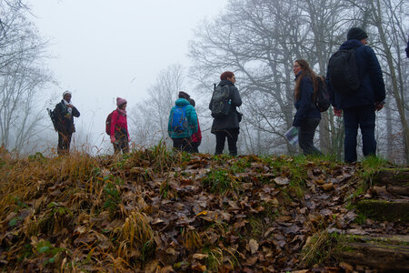 Rando 14-décembre-2025_Parc de Sceaux - Forêt de Verrière - Vallée de la Bièvre, DSC_0120