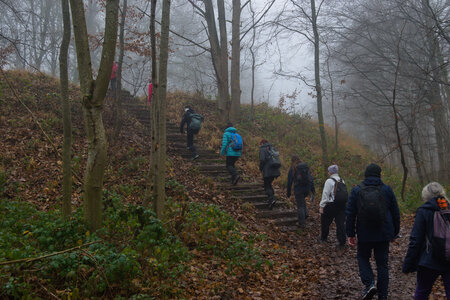 Rando 14-décembre-2025_Parc de Sceaux - Forêt de Verrière - Vallée de la Bièvre, DSC_0118
