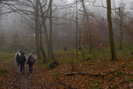 Rando 14-décembre-2025_Parc de Sceaux - Forêt de Verrière - Vallée de la Bièvre, DSC_0115